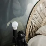 Tropical Appartement Mulhouse