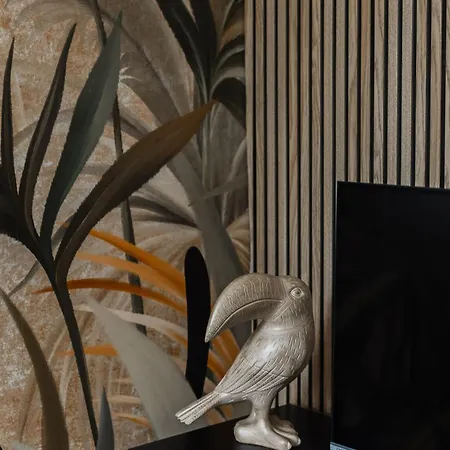 Appartement Tropical Mulhouse