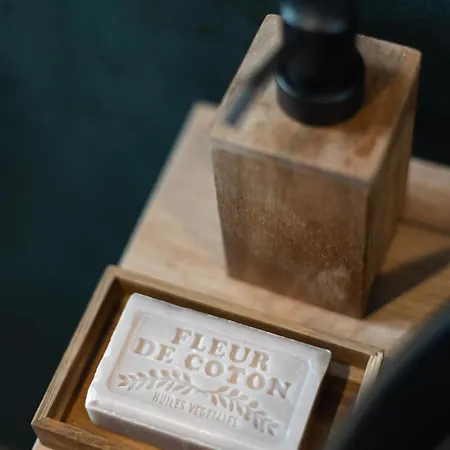 Appartement Tropical Mulhouse